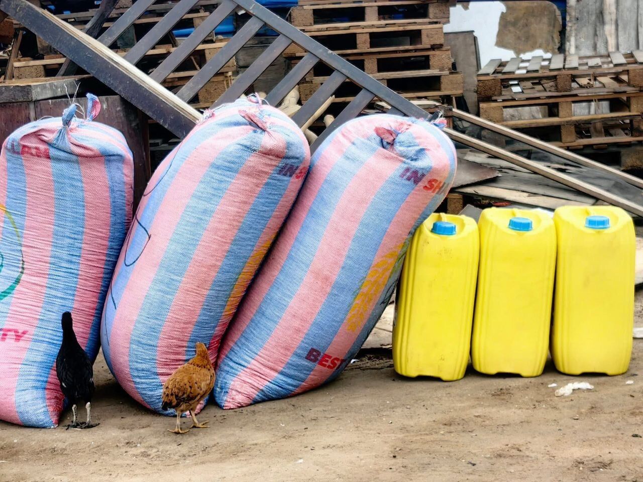 Maize and cooking oil provided to kenkey sellers